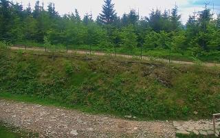 TMR - Zbójnicka Kopa #2 - 12-06-2026 16:56