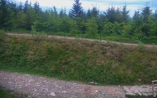 TMR - Zbójnicka Kopa #2 - 12-06-2026 18:58