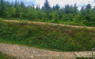 TMR - Zbójnicka Kopa #2 - 17-06-2026 09:15
