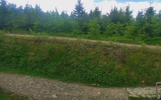TMR - Zbójnicka Kopa #2 - 17-06-2026 09:26