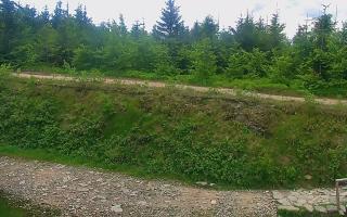 TMR - Zbójnicka Kopa #2 - 17-06-2026 09:59