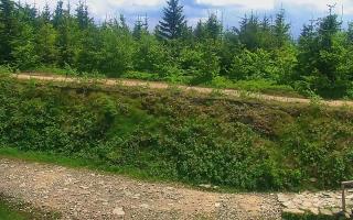 TMR - Zbójnicka Kopa #2 - 17-06-2026 11:28