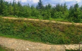 TMR - Zbójnicka Kopa #2 - 17-06-2026 12:02