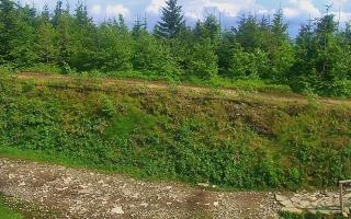 TMR - Zbójnicka Kopa #2 - 17-06-2026 14:04