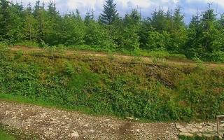 TMR - Zbójnicka Kopa #2 - 17-06-2026 14:15