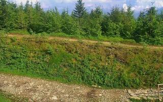 TMR - Zbójnicka Kopa #2 - 17-06-2026 15:11