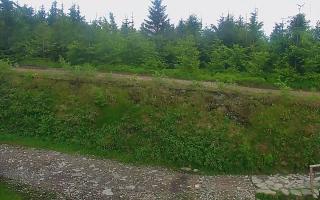 TMR - Zbójnicka Kopa #2 - 17-06-2026 15:33