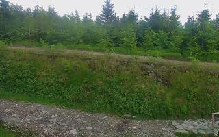 TMR - Zbójnicka Kopa #2 - 17-06-2026 15:44