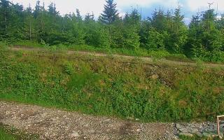 TMR - Zbójnicka Kopa #2 - 17-06-2026 16:29