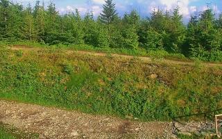 TMR - Zbójnicka Kopa #2 - 17-06-2026 16:40