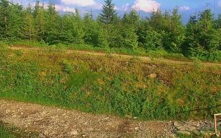 TMR - Zbójnicka Kopa #2 - 17-06-2026 17:02