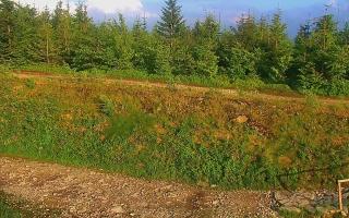 TMR - Zbójnicka Kopa #2 - 17-06-2026 17:13