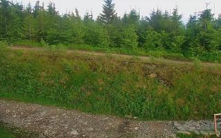 TMR - Zbójnicka Kopa #2 - 17-06-2026 17:35