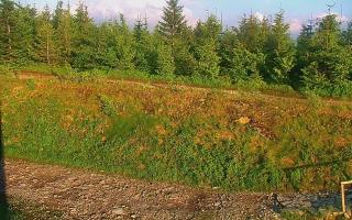 TMR - Zbójnicka Kopa #2 - 17-06-2026 17:46