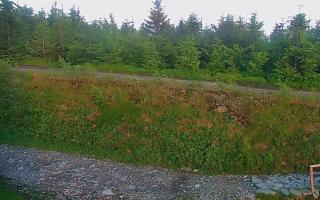 TMR - Zbójnicka Kopa #2 - 17-06-2026 18:09