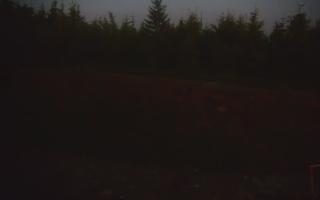 TMR - Zbójnicka Kopa #2 - 17-06-2026 19:49