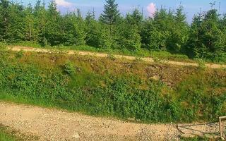 TMR - Zbójnicka Kopa #2 - 27-06-2026 15:56