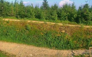 TMR - Zbójnicka Kopa #2 - 27-06-2026 16:41
