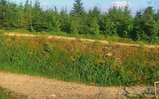 TMR - Zbójnicka Kopa #2 - 27-06-2026 16:52