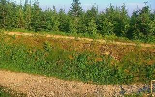 TMR - Zbójnicka Kopa #2 - 27-06-2026 17:14