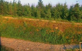 TMR - Zbójnicka Kopa #2 - 27-06-2026 17:47