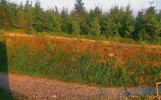 TMR - Zbójnicka Kopa #2 - 27-06-2026 17:59