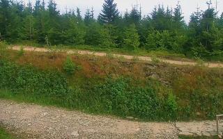 TMR - Zbójnicka Kopa #2 - 01-08-2026 14:14