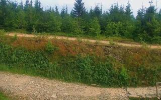 TMR - Zbójnicka Kopa #2 - 01-08-2026 14:25