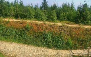 TMR - Zbójnicka Kopa #2 - 01-08-2026 14:48