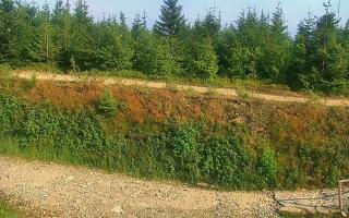 TMR - Zbójnicka Kopa #2 - 01-08-2026 15:21