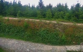 TMR - Zbójnicka Kopa #2 - 01-08-2026 16:17