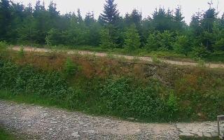 TMR - Zbójnicka Kopa #2 - 01-08-2026 16:28
