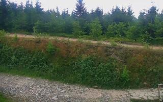 TMR - Zbójnicka Kopa #2 - 01-08-2026 16:39