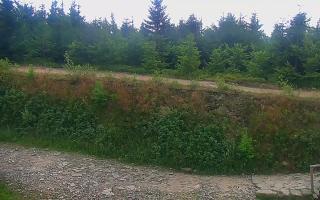 TMR - Zbójnicka Kopa #2 - 01-08-2026 16:50