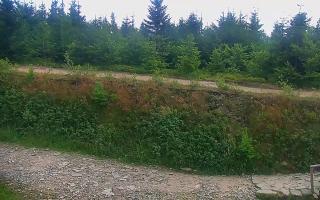 TMR - Zbójnicka Kopa #2 - 01-08-2026 17:01