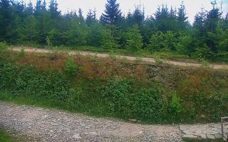 TMR - Zbójnicka Kopa #2 - 01-08-2026 17:23