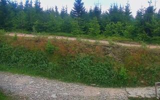 TMR - Zbójnicka Kopa #2 - 01-08-2026 17:34