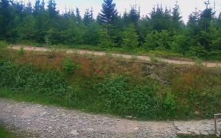 TMR - Zbójnicka Kopa #2 - 01-08-2026 17:46
