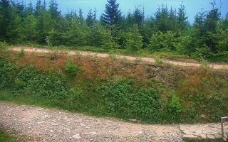 TMR - Zbójnicka Kopa #2 - 01-08-2026 18:19