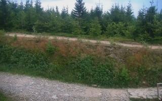 TMR - Zbójnicka Kopa #2 - 01-08-2026 18:30