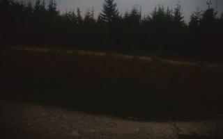 TMR - Zbójnicka Kopa #2 - 01-08-2026 18:53