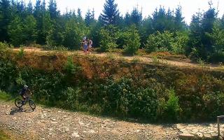 TMR - Zbójnicka Kopa #2 - 01-09-2026 14:24