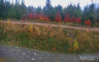 TMR - Zbójnicka Kopa #2 - 26-10-2026 15:23