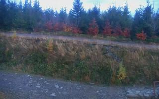 TMR - Zbójnicka Kopa #2 - 26-10-2026 15:45