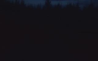 TMR - Zbójnicka Kopa #2 - 26-10-2026 16:19