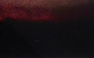 Kąty Rybackie Zachód - 02-11-2025 16:54