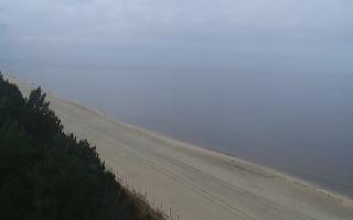 Kąty Rybackie Zachód - 17-03-2026 11:10