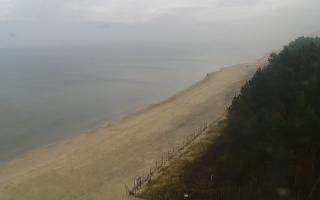 Kąty Rybackie Wschód - 02-11-2025 10:00