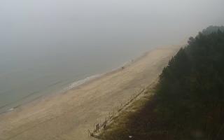 Kąty Rybackie Wschód - 02-11-2025 14:15