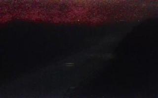 Kąty Rybackie Wschód - 02-11-2025 19:49